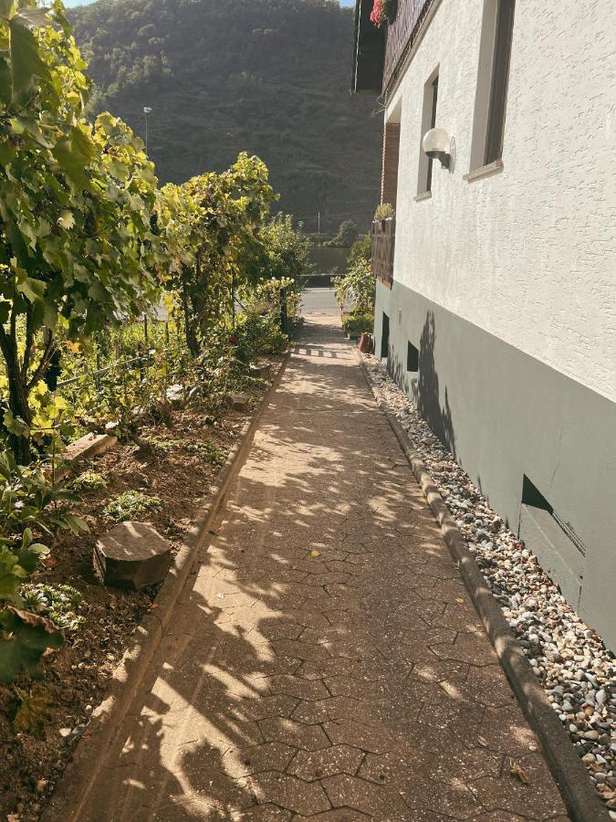 Ferienwohnung Moselflair Mit Direktem Blick Auf Die Mosel Und Weinberge Oberfell 외부 사진